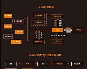 MCN机构的运作KOL消费影响短视频营销环节内容电商类型(高清大图下载)dt2240023